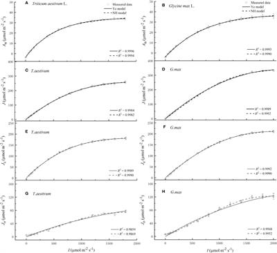 Modeling Light Response of Electron Transport Rate and Its Allocation for Ribulose Biphosphate Carboxylation and Oxygenation